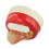 Realistisk PVC-simuleringskagemodel – 7,5 cm 3