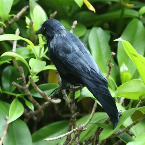 Halloween Black Feathered Crow Decoration 2
