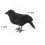Halloween Black Feathered Crow Decoration 5