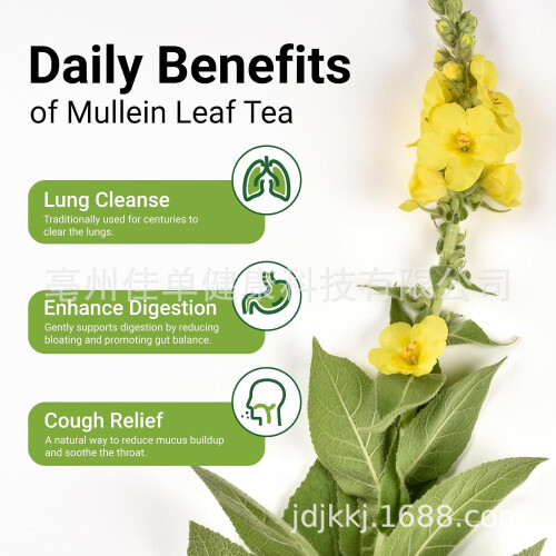 Mullein Leaf Tea Natural Herbal Mullein Leaf Tea 1