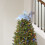 Décoration de Noël étoile de sapin teckel (1 pièce) 2