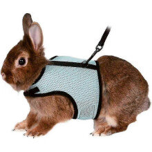Pet Harness with Nylon Leash - Pet Vest Style - for Squirrel, Hamster, Guinea Pig, Rat, Hamster And Small Animals - Blue - S (hams SZRH A-W