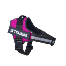 Creative Vest Patch Dog Harness Reflective Breathable Adjustable Pet Harness for Dog NO PULL Pet Outdoor Harness