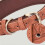 (L, Red) Leather Dog Collars for Walking Soft Padding Embossed Collars for Medium Large Breeds Pet Training Collar Accessories M 5