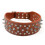 (brown) Enhanced Dog Collar With Spikes for Large and Medium Breeds 1