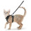 (S, black) 2025 Cat Harness and Leash for Walking, Escape Proof Soft Adjustable Vest Harnesses 1