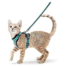 (S, green) 2025 Cat Harness and Leash for Walking, Escape Proof Soft Adjustable Vest Harnesses