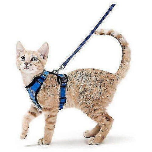 (S, blue) 2025 Cat Harness and Leash for Walking, Escape Proof Soft Adjustable Vest Harnesses