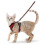 (XS, red) 2025 Cat Harness and Leash for Walking, Escape Proof Soft Adjustable Vest Harnesses 1