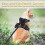 (S, black) 2025 Cat Harness and Leash for Walking, Escape Proof Soft Adjustable Vest Harnesses 5