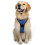 Blue, Anti-pull S-Dog Harness, Dog Harness Adjustable Reflective Harness with Front Clip Harness for Medium Dogs 1