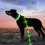 Pet Electroluminescent Leash Collar Usb Charge Led Dog Walking Collar Leash Blue 2