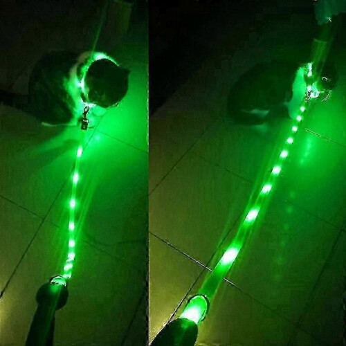 Pet Electroluminescent Leash Collar Usb Charge Led Dog Walking Collar Leash Blue 2