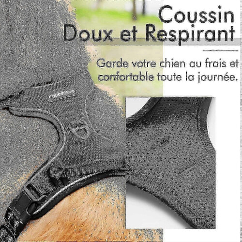 Blue, Anti-pull S-Dog Harness, Dog Harness Adjustable Reflective Harness with Front Clip Harness for Medium Dogs 1