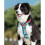 Solid Reflective Harness Front Line Premium Tropical Turquoise Xl 4