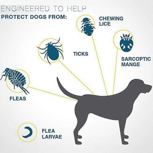 Flea & Tick Collar for Dogs & Cats - Effective Flea, Mite, Lice & Mosquito Prevention 2
