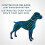 Flea & Tick Collar for Dogs & Cats - Effective Flea, Mite, Lice & Mosquito Prevention 5