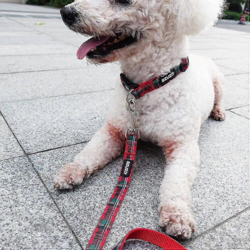 Dog Collar And Leash Set, Cute Fruit Patterns On Bright Collar Nylon And Matching Leash, Great Option 1