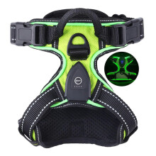 (S, Green) Light Up Dog Harness - Rechargeable LED Dog Harness for Night Walking, Flashing for More Than 20 Hours, Oxford Cloth