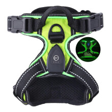 (M, Green) Light Up Dog Harness - Rechargeable LED Dog Harness for Night Walking, Flashing for More Than 20 Hours, Oxford Cloth