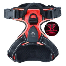 (S, Red) Light Up Dog Harness - Rechargeable LED Dog Harness for Night Walking, Flashing for More Than 20 Hours, Oxford Cloth