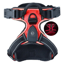 (XL, Redl) Light Up Dog Harness - Rechargeable LED Dog Harness for Night Walking, Flashing for More Than 20 Hours, Oxford Cloth