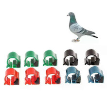 RFID Foot Tag for Pigeon and Duck Tracking with Electronic 10x Ring