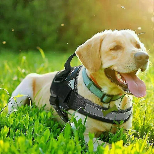 (xxL, Bright Orange) No-Pull Service Dog Harness, Easy On/Off, 3M Reflective & Breathable, Adjustable for All Sizes 1