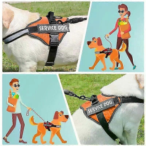 (xS, Bright Orange) No-Pull Service Dog Harness, Easy On/Off, 3M Reflective & Breathable, Adjustable for All Sizes 2