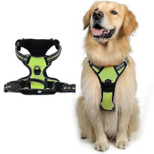 (S, green) Adjustable No-Pull Dog Harness with Soft Padding and Control Handle