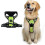 (M, green) Adjustable No-Pull Dog Harness with Soft Padding and Control Handle 1