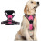 (S, rose red) Adjustable No-Pull Dog Harness with Soft Padding and Control Handle 1