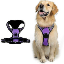 (M, PURPLE) Adjustable No-Pull Dog Harness with Soft Padding and Control Handle