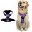 (M, PURPLE) Adjustable No-Pull Dog Harness with Soft Padding and Control Handle 1
