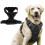 (M, black) Adjustable No-Pull Dog Harness with Soft Padding and Control Handle 1