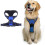 (M, SKY BLUE) Adjustable No-Pull Dog Harness with Soft Padding and Control Handle 1