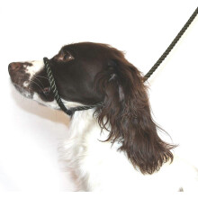 Dog & Field Figure 8 Anti-Pull Lead/Halter/Head Collar/Harness,Black