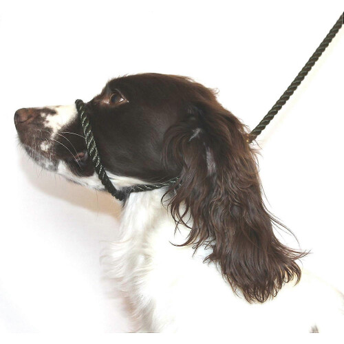 Dog & Field Figure 8 Anti-Pull Lead/Halter/Head Collar/Harness,Black