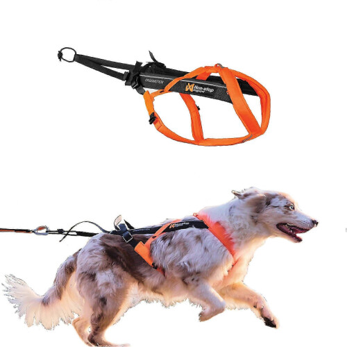 Freemotion Harness 5.0 Dog Pulling Harness Sports for with Dogs, Adjustable, Orange/Black