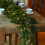 Rotan LED-slinger met witte en groene lampjes, 2 meter 2