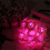 Roselyslenker20LED rosa plastgirlander3m 5