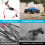 RC 30A  Brushed Electric Speed Controller ESC Brush Electronic Motor Speed Controller Dual Output,JST Plug 3