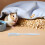 20Pcs Mini Hamster Comb Plastic Small Pet Grooming Kit Assorted Colors 3