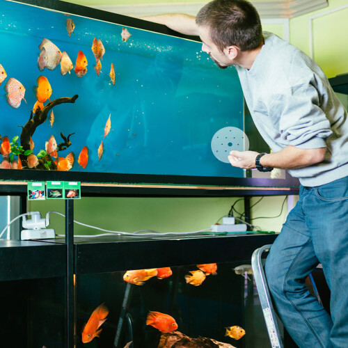 Fischschalenabdeckung Schutzdeckel Für Aquarien 2