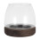 Compact Transparent Glass for Hydroponic Plant and Fish 1