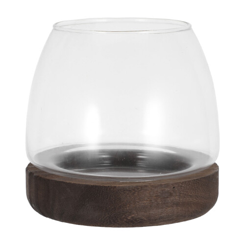 Compact Transparent Glass for Hydroponic Plant and Fish