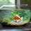 2Stk Aquarium Schutzmatte Eva , Stoßdämpfend & Rutschfest 3