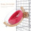 Assorted Color Space Capsule Bird Nest Plastic and Wood for Cage 5