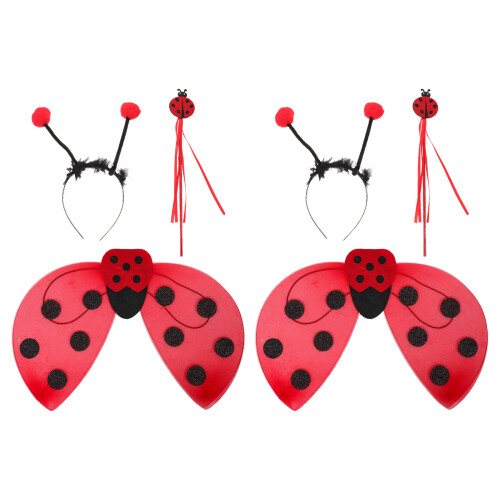 2Ensembles Ailes De Pailletées Et -Tête