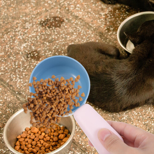 4Pièces Cuillères Chat Faciles À 2